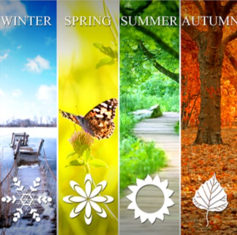 Why “A Journey Through the Seasons” ?